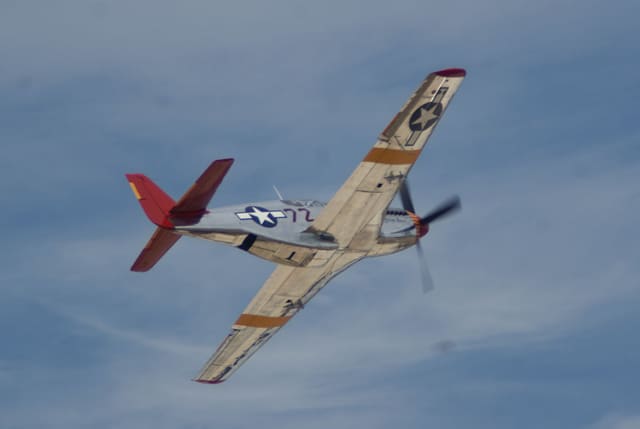- Warbird