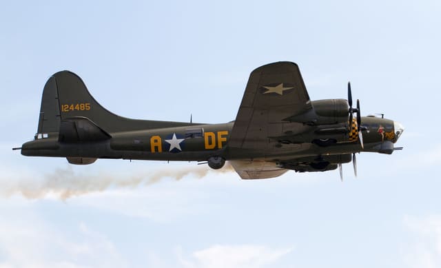 - Warbird