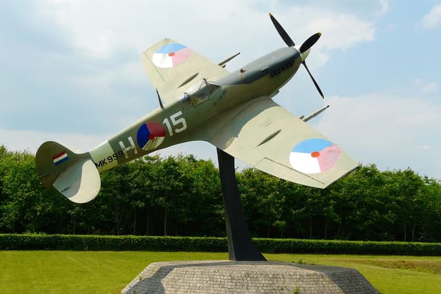 - Warbird