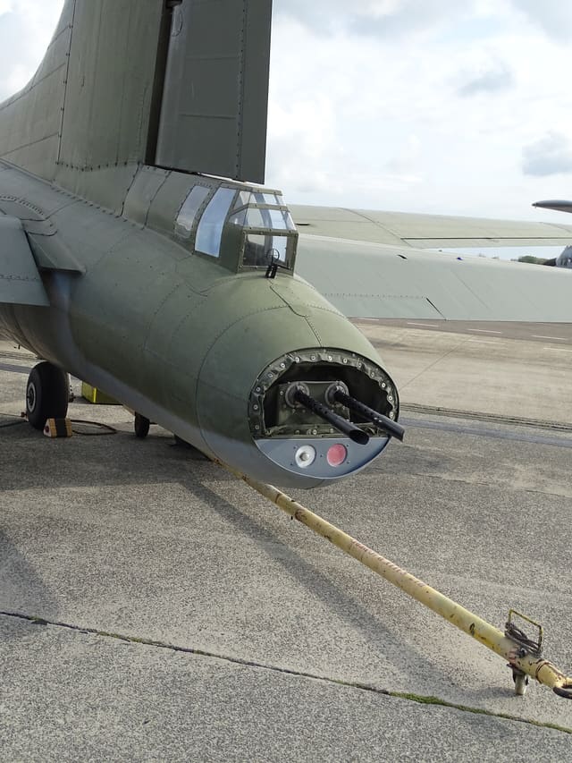 - Warbird