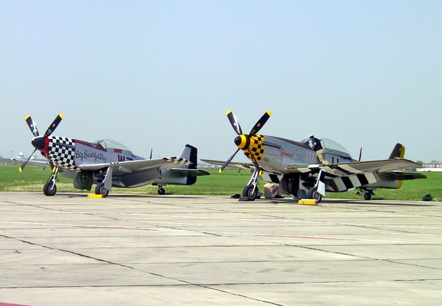 - Warbird