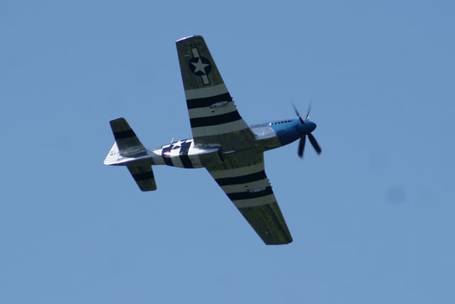 - Warbird
