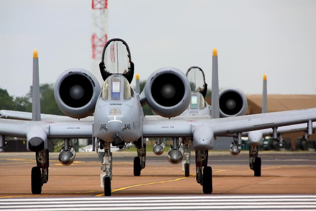 - Warbird