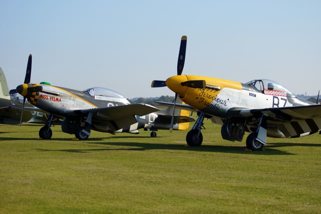 - Warbird