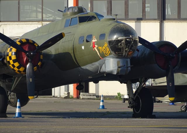 - Warbird