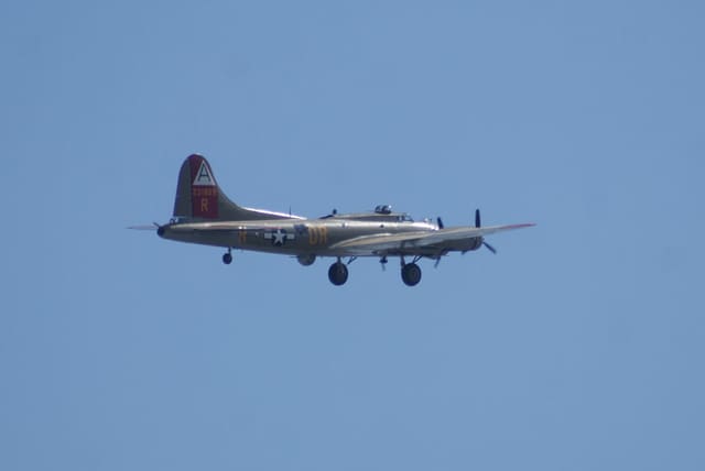 - Warbird