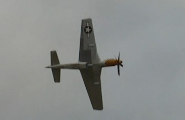- Warbird