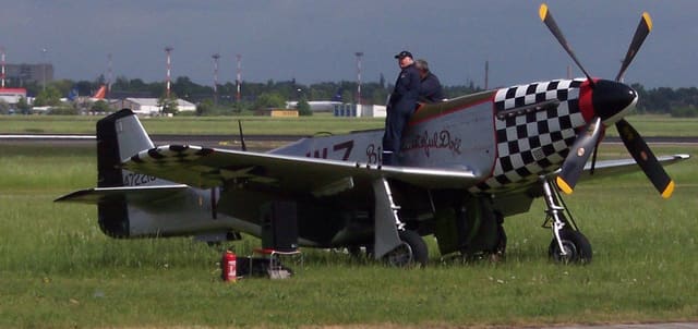 - Warbird