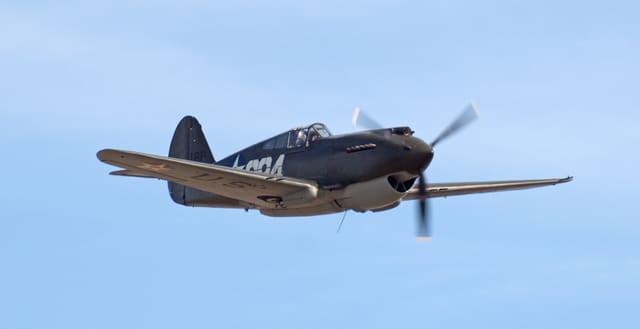 - Warbird