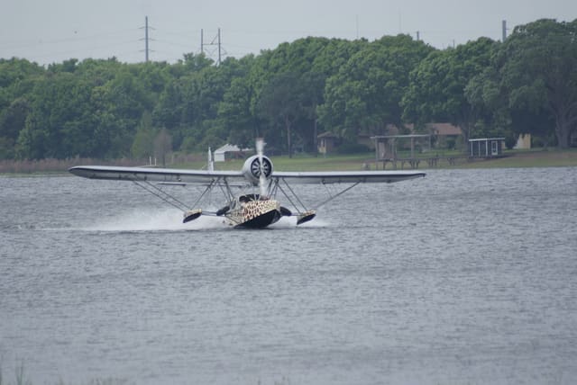 - Single-engine aircraft