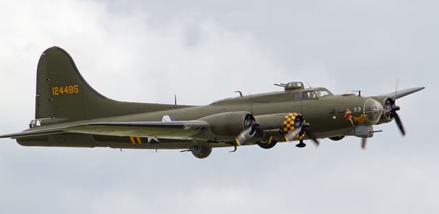 - Warbird