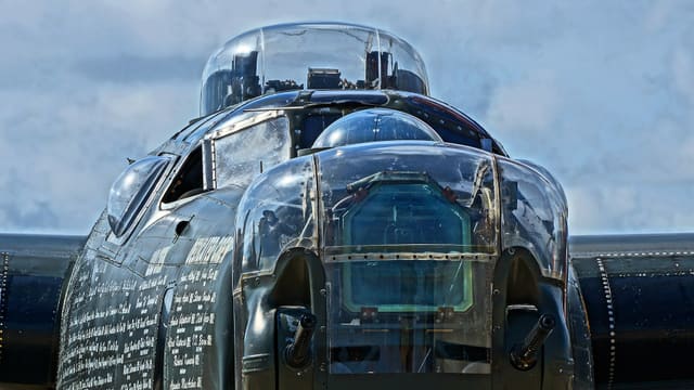 - Warbird