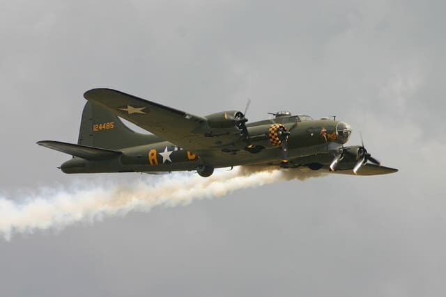 - Warbird