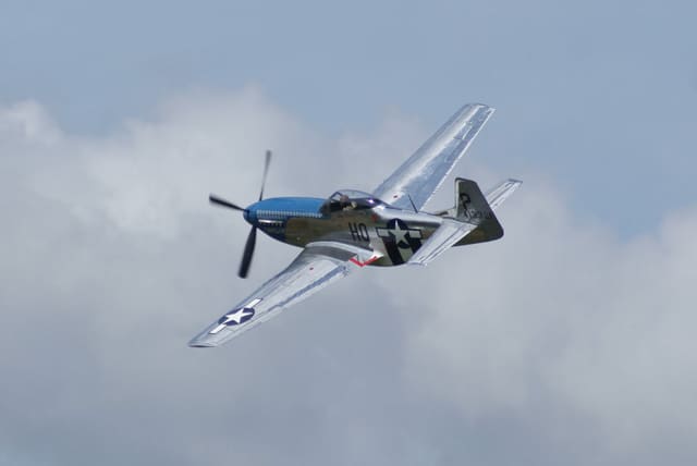 - Warbird