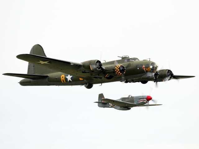 - Warbird