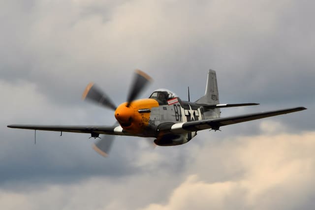 - Warbird
