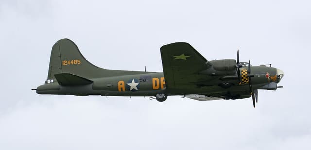 - Warbird