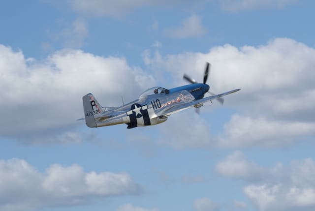 - Warbird