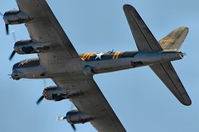 - Warbird