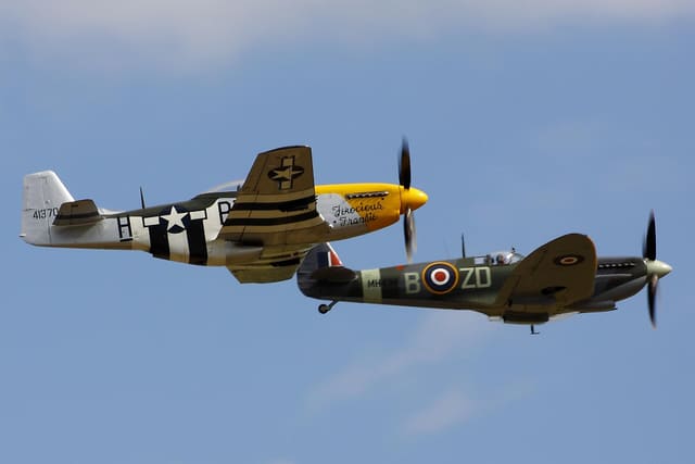 - Warbird
