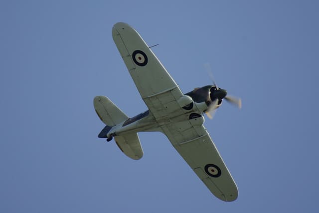 - Warbird