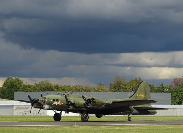- Warbird