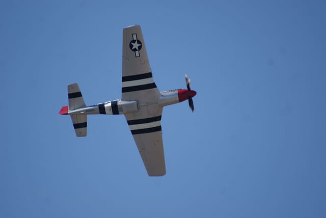 - Warbird
