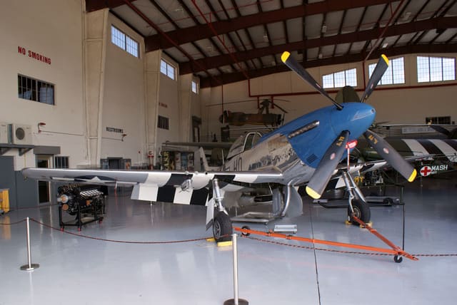 - Warbird