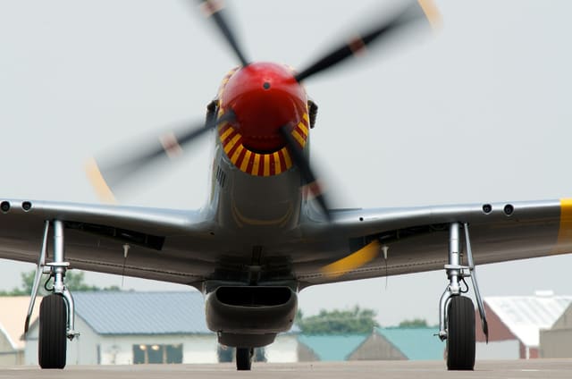 - Warbird