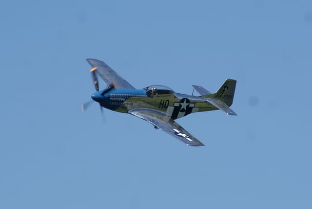- Warbird