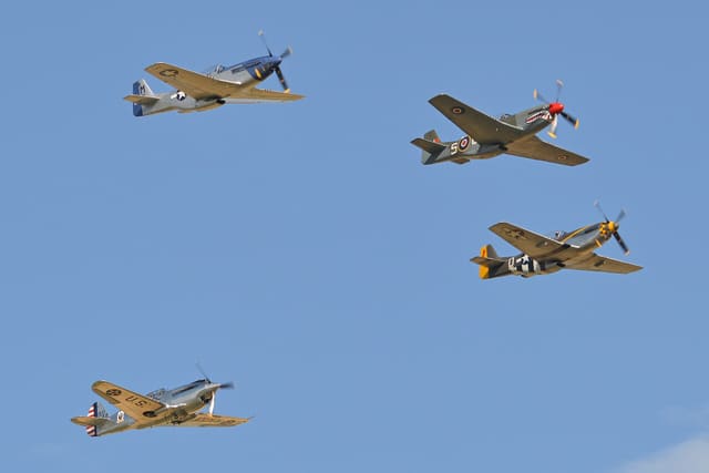 - Warbird