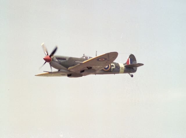 - Warbird