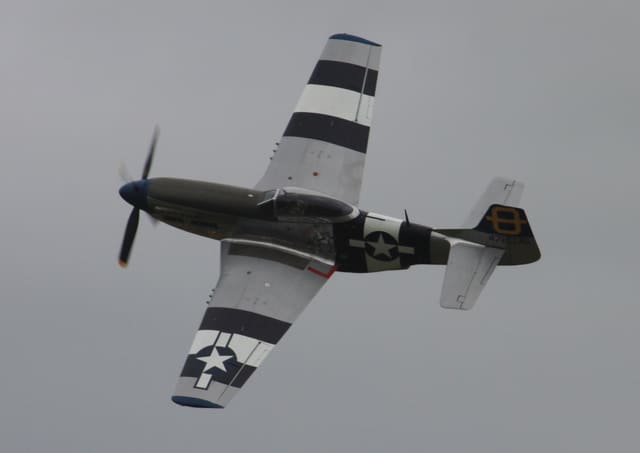 - Warbird