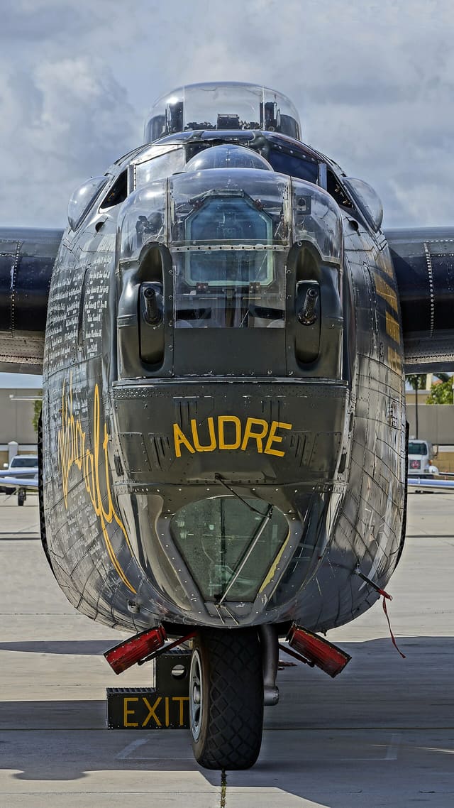 - Warbird