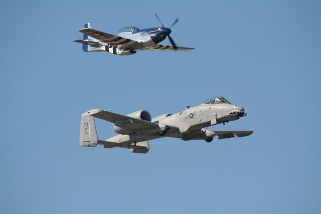 - Warbird