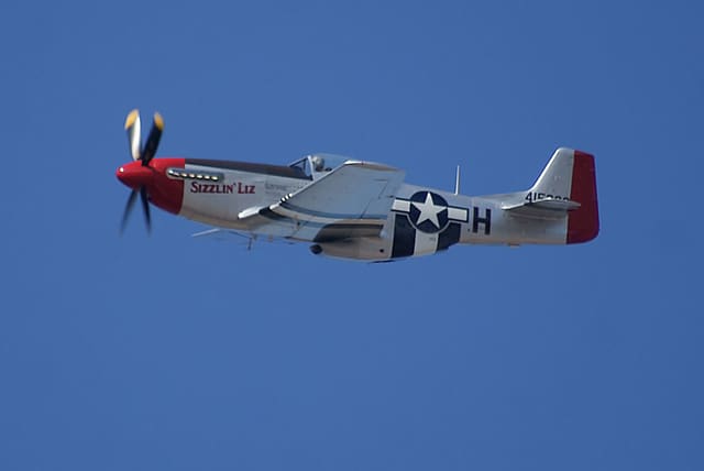 - Warbird
