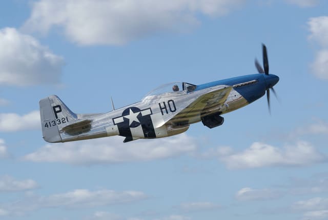 - Warbird