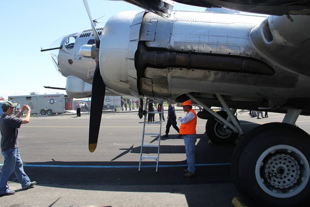 - Warbird