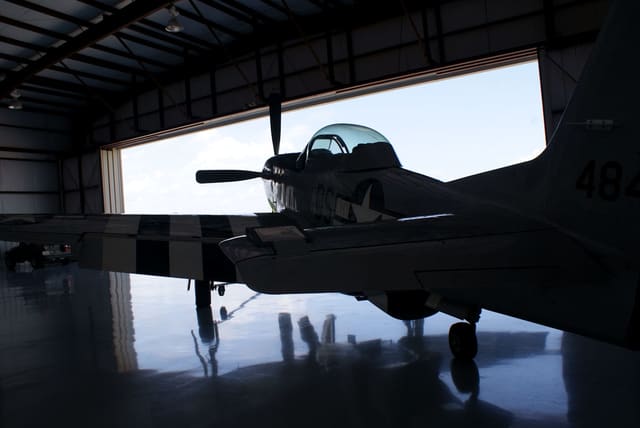 - Warbird