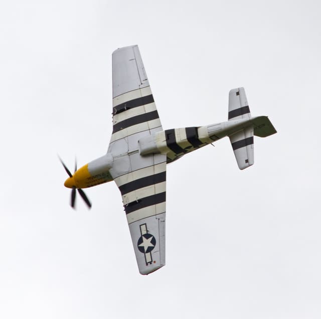 - Warbird