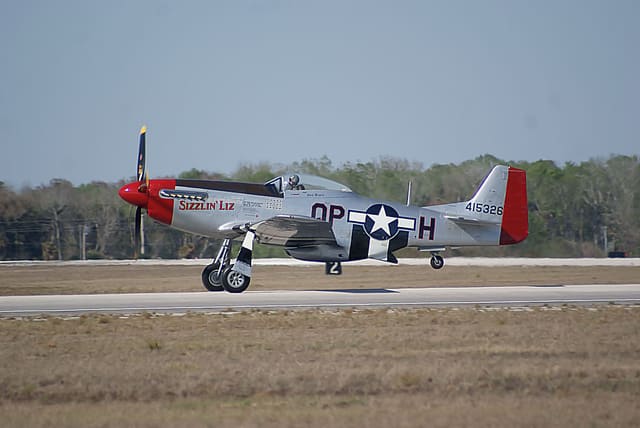 - Warbird
