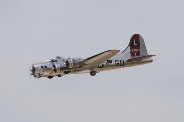 - Warbird