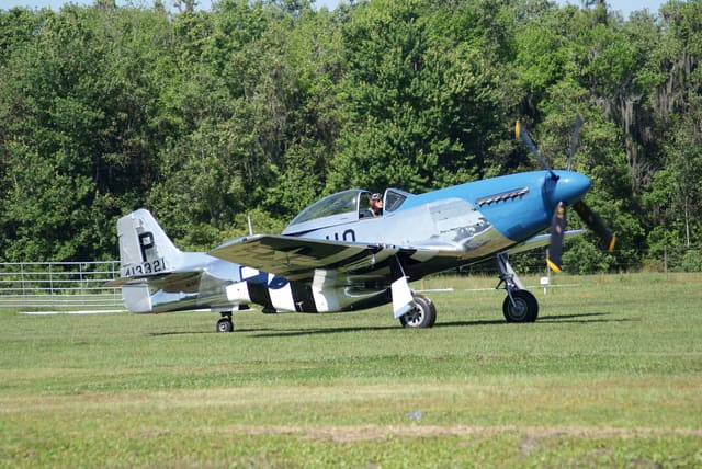 - Warbird