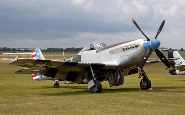 - Warbird