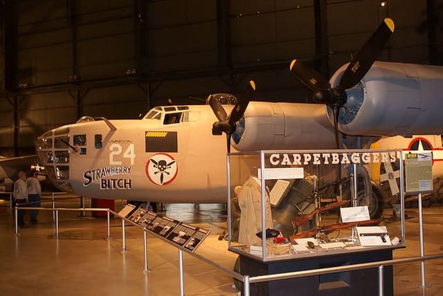 - Warbird