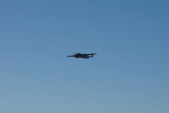 - Warbird