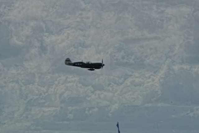 - Warbird