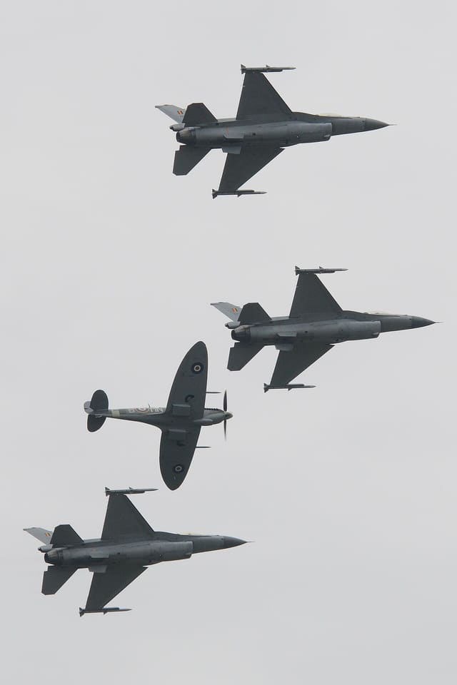 - Warbird
