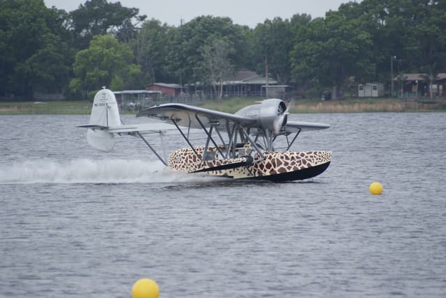 - Single-engine aircraft