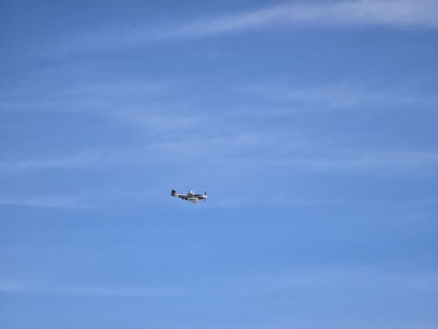 - Warbird